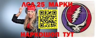 гашик Нарткала