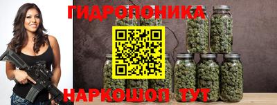 гашик Нарткала
