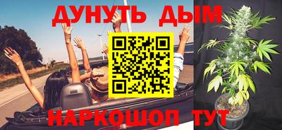 гашик Нарткала