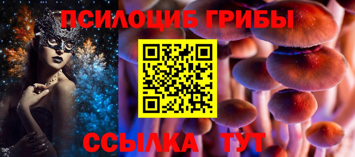 Псилоцибиновые грибы GOLDEN TEACHER Тверь