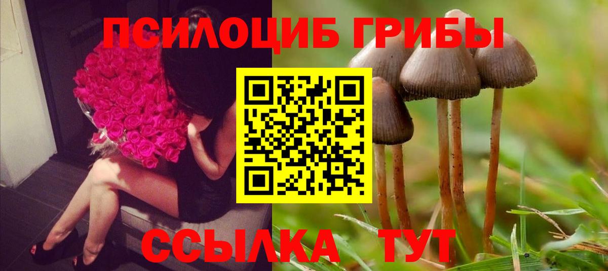 Псилоцибиновые грибы Cubensis  Вход с VPN  Псилоцибиновые грибы ЛСД  где купить наркоту  Тверь 